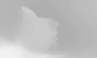 Depth anchor for rabbit example
